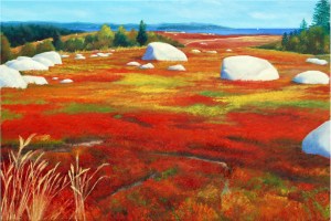 BestBarrensDSC_0367 copy