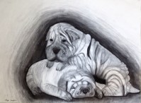 RosemarieMorelliArtStudio_PaigeSharpe