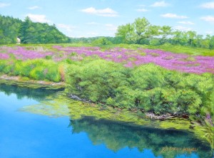 Purple Loosestrife, Medfield, MA oil by Rosemarie Morelli, professional artist and instructor.