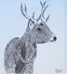 Rosemarie_Morelli_Students_IMG_2990